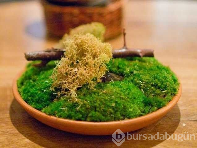 2019 dünyanın en iyi restoranları açıklandı