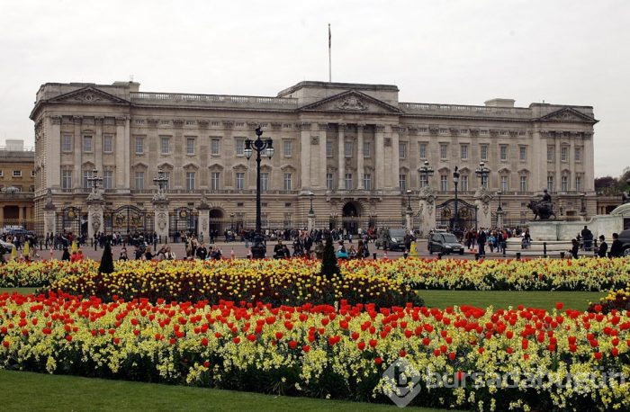 Buckingham Sarayı'nı fareler bastı
