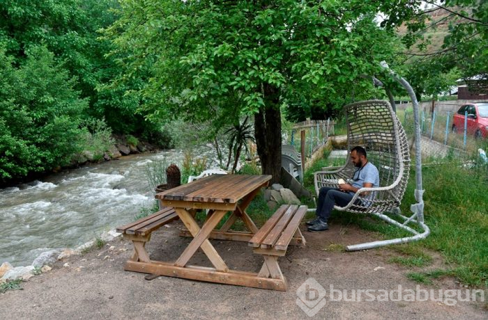 Akın akın alabalık yemeye geliyorlar