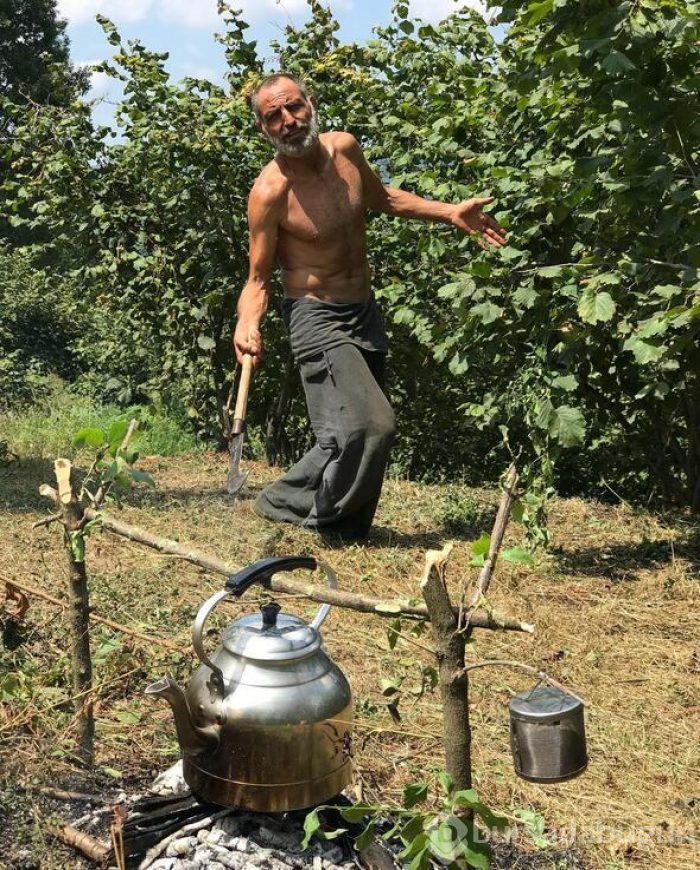 Çiftlikte yaz tatili