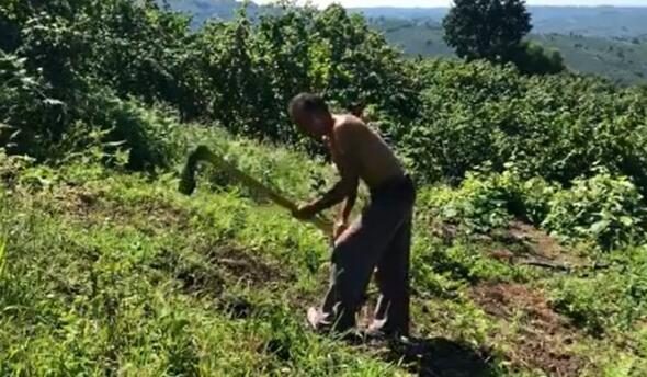 Çiftlikte yaz tatili