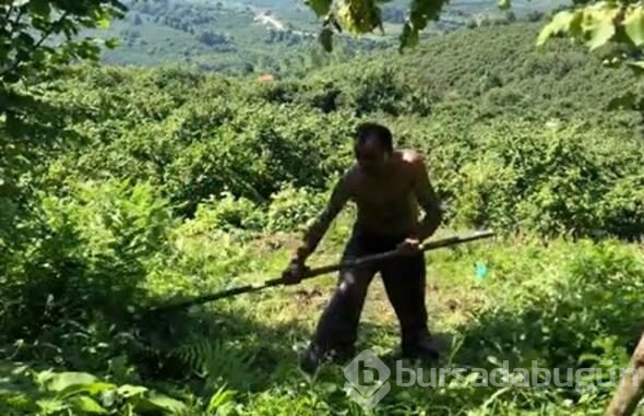 Çiftlikte yaz tatili