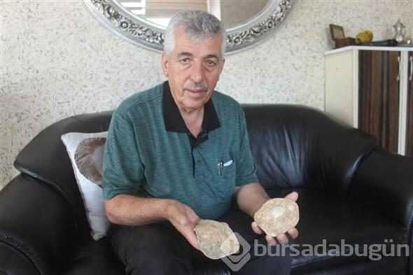 Kahramanmaraş'ta 35 milyon yıllık fosil bulundu
