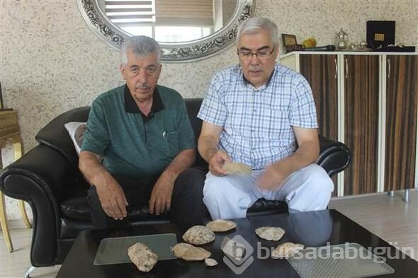 Kahramanmaraş'ta 35 milyon yıllık fosil bulundu
