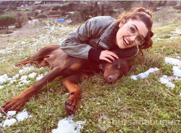 Evimizin direği: Tabu'