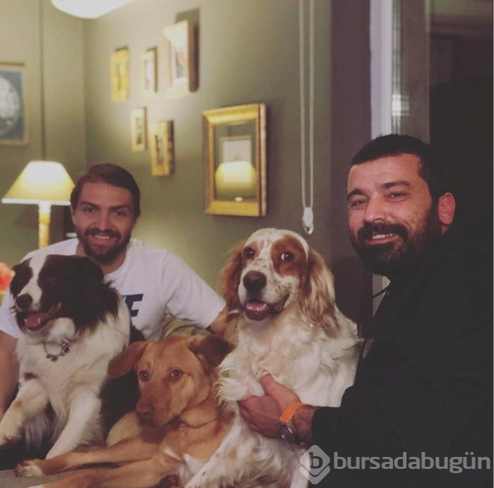 Evimizin direği: Tabu'