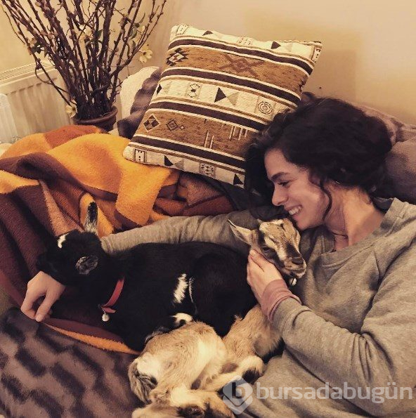 Evimizin direği: Tabu'