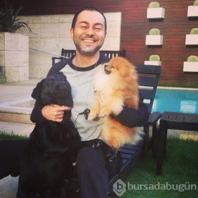 Evimizin direği: Tabu'
