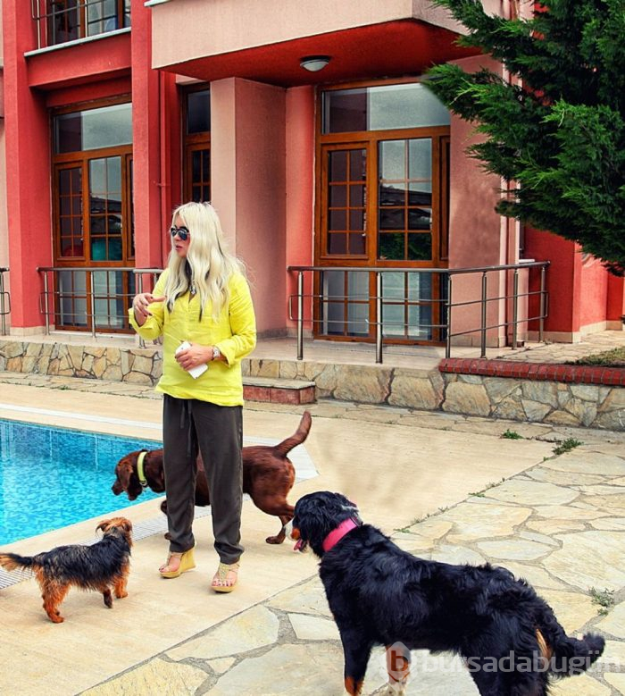 Evimizin direği: Tabu'