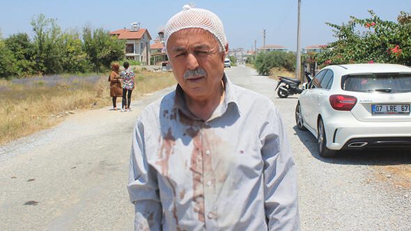 Yaşlı adama köpekler tarafından saldırı