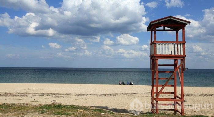 Trakya'da bir cennet: İğneada Longoz Ormanları
