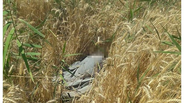  Elleri ve yüzleri kararmış halde ceset bulundu