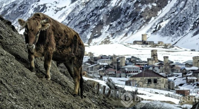 Avrupa'nın en eski ve en yüksek yerleşim merkezi

