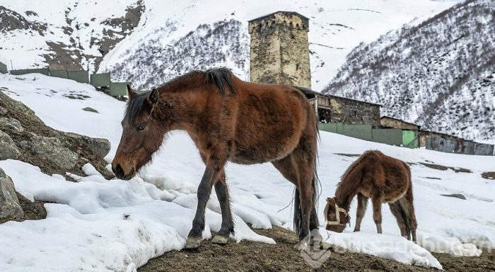 Avrupa'nın en eski ve en yüksek yerleşim merkezi
