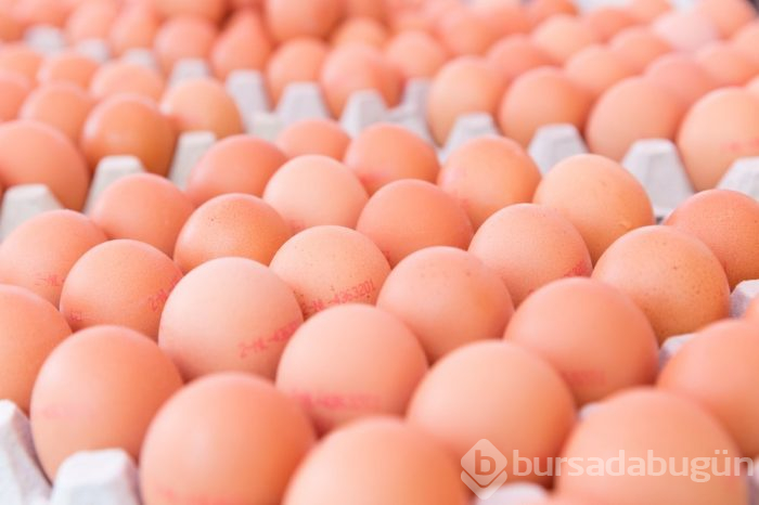 yumurtaların üzerinde yazan kodların anlamları