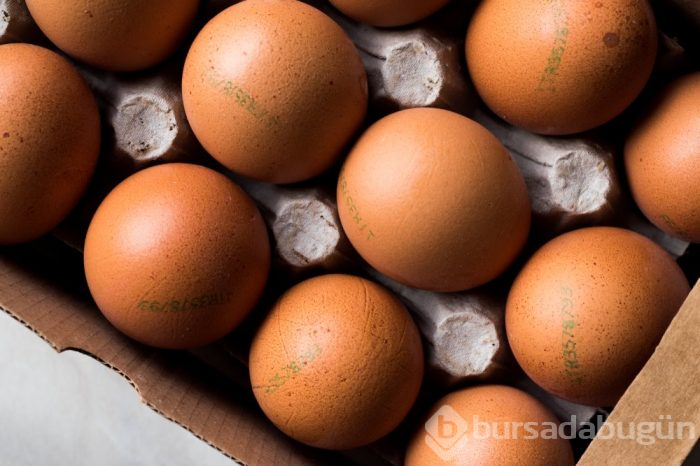 yumurtaların üzerinde yazan kodların anlamları