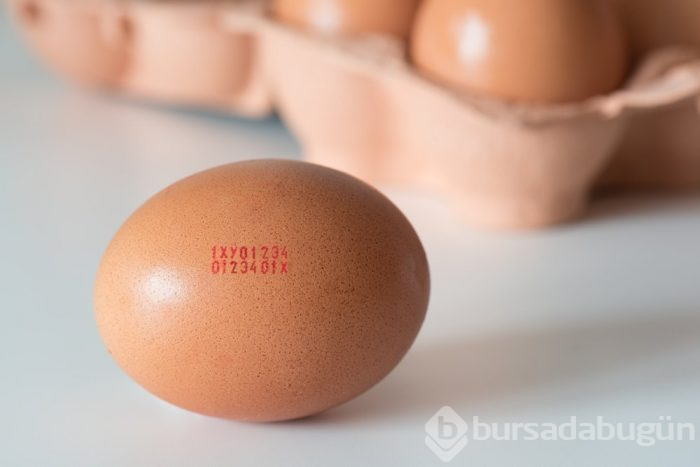 Yumurtaların üzerinde yazan kodlar ne anlama geliyor? 
