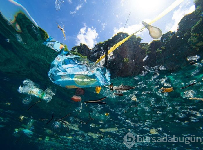 Plastik poşete hapis cezası 