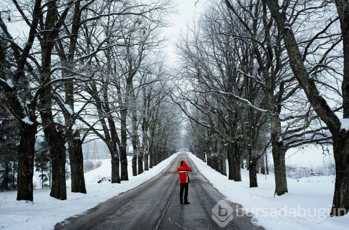 "2019'un En İyi Yolculuk Fotoğrafları Yarışması" finalistlerinden 50 nefes kesen fotoğraf