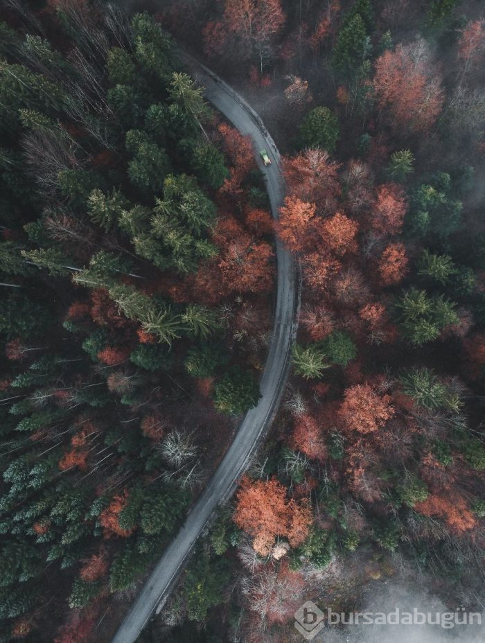 "2019'un En İyi Yolculuk Fotoğrafları Yarışması" finalistlerinden 50 nefes kesen fotoğraf