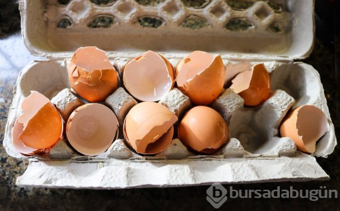 Çöp sanıp attıklarınız bakın ne işe yarıyor
