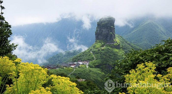 Dünya Mirası Listesi'ndeki dağ: Fanjingshan