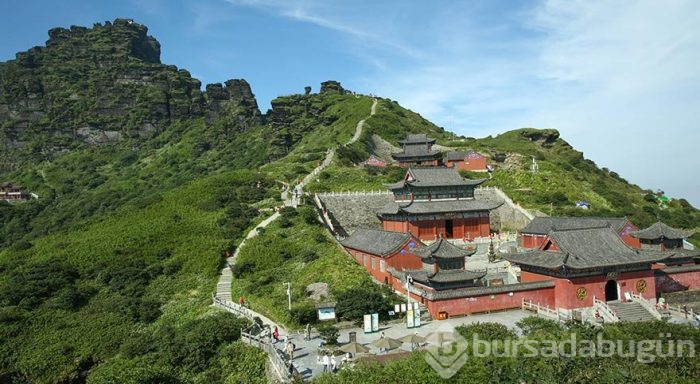 Dünya Mirası Listesi'ndeki dağ: Fanjingshan
