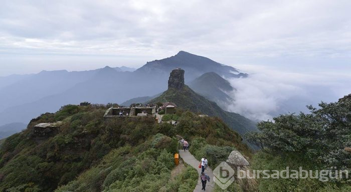 Dünya Mirası Listesi'ndeki dağ: Fanjingshan