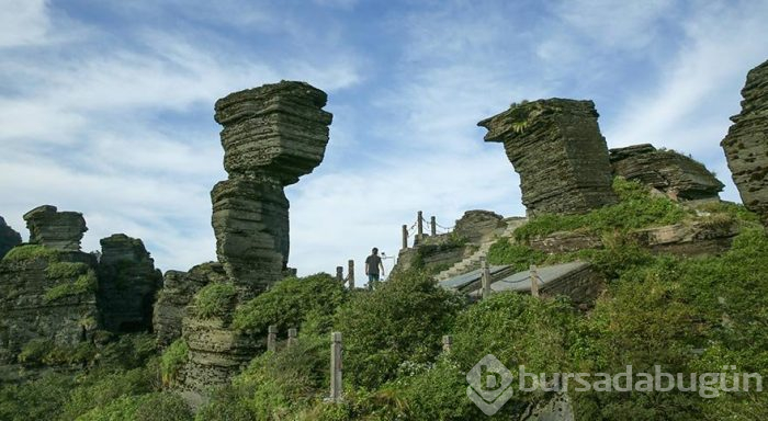 Dünya Mirası Listesi'ndeki dağ: Fanjingshan