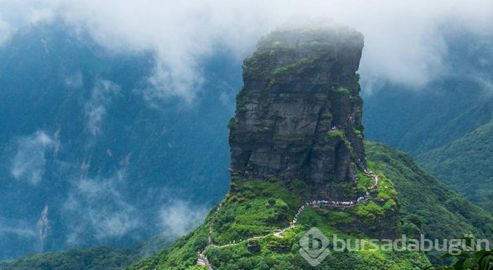 Dünya Mirası Listesi'ndeki dağ: Fanjingshan