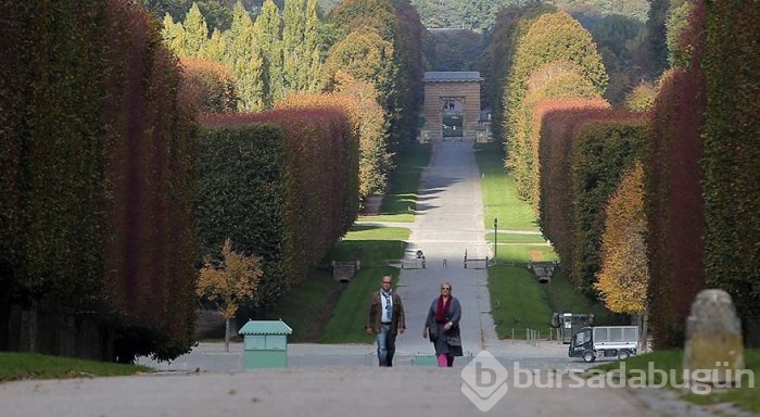 Versailles Sarayı Bahçeleri