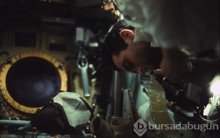 Rekor fiyata satılabilir! (NASA 'yanlışlıkla' 217 dolara satmıştı)