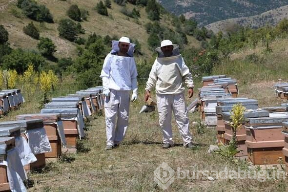 Kilosu 8 bin lira, taleplere yetişemiyor