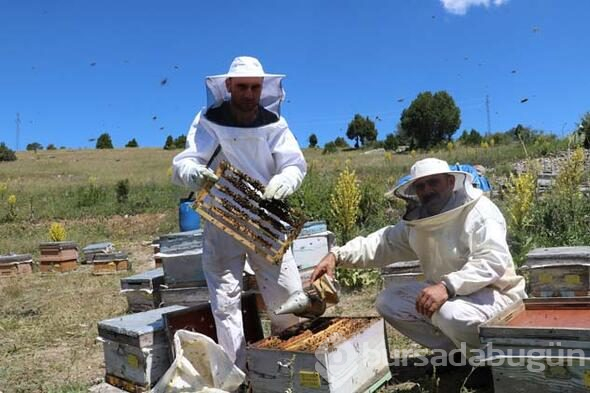 Kilosu 8 bin lira, taleplere yetişemiyor