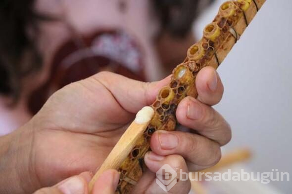 Kilosu 8 bin lira, taleplere yetişemiyor