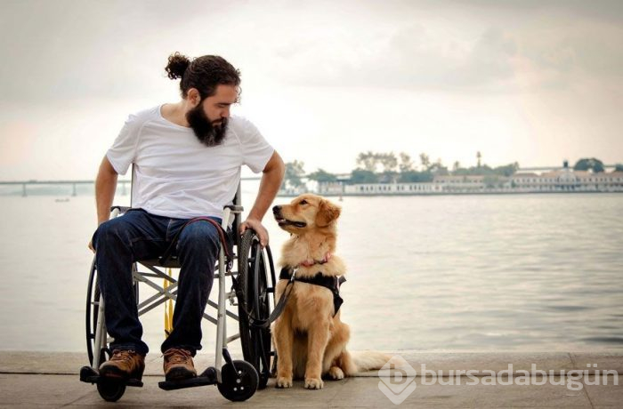 2019 Köpek Fotoğrafçıları Yarışması'nın kazananları