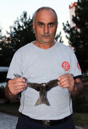 Çatıda boynuna ip dolandı, 10. katta sallandı