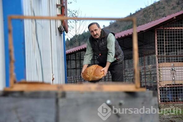 Trabzon'da şaşkına çeviren anlar

