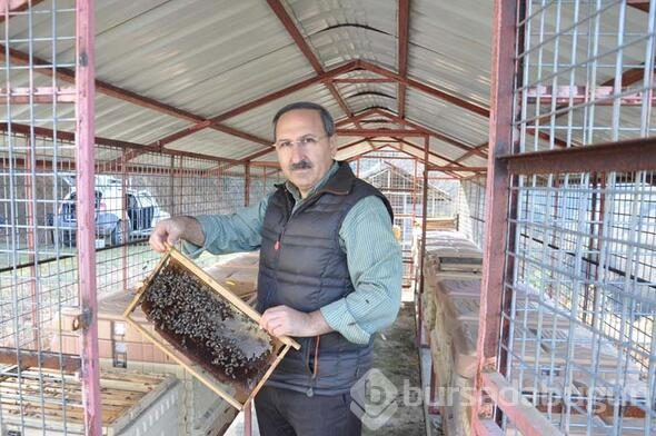 Trabzon'da şaşkına çeviren anlar
