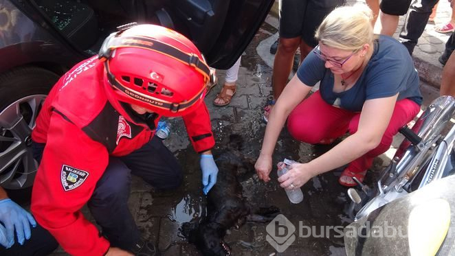 Otomobile bırakıp gittiği köpek nefessiz kaldı