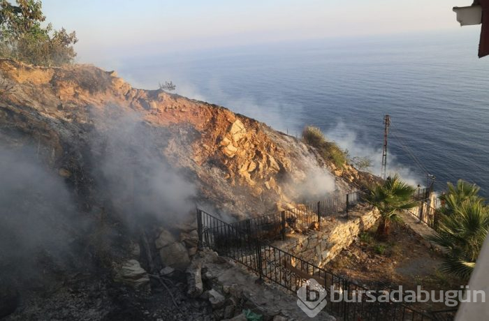 Antalya'da muzluk yangını (5 dönüm bahçe zarar gördü)