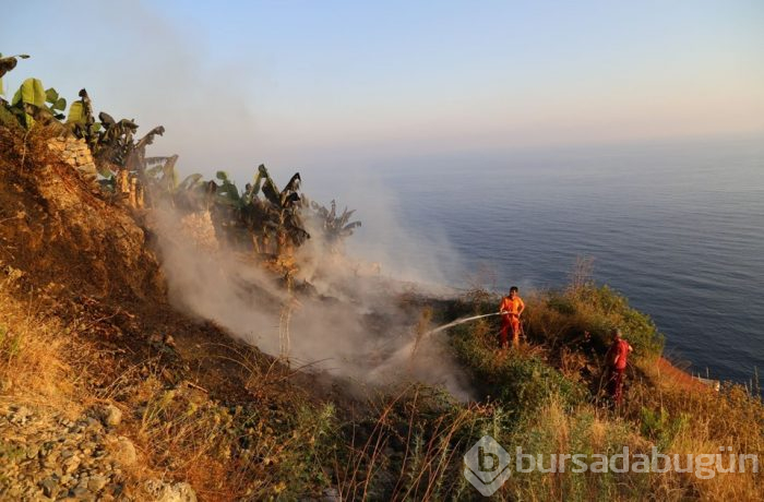 Antalya'da muzluk yangını (5 dönüm bahçe zarar gördü)