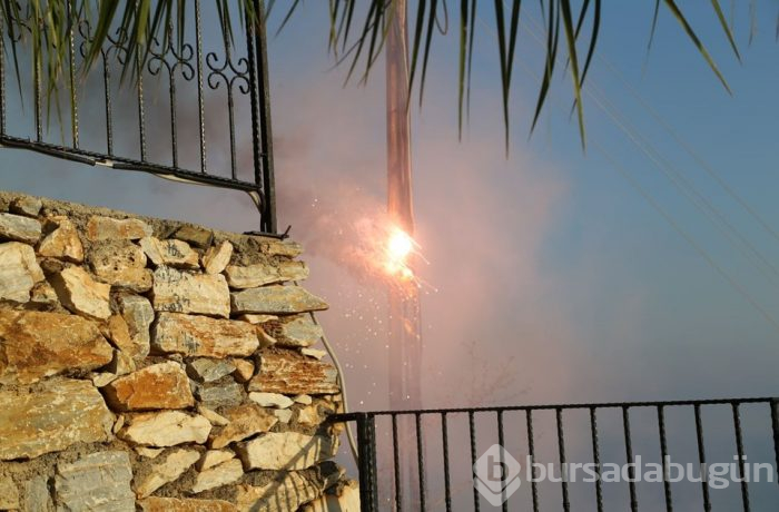 Antalya'da muzluk yangını (5 dönüm bahçe zarar gördü)