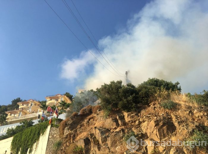 Antalya'da muzluk yangını (5 dönüm bahçe zarar gördü)