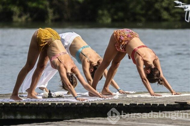 Plajda yoga
