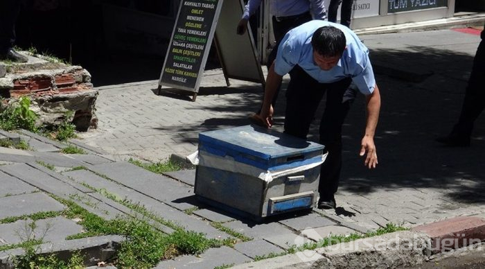 Arı kolonisi firar etti