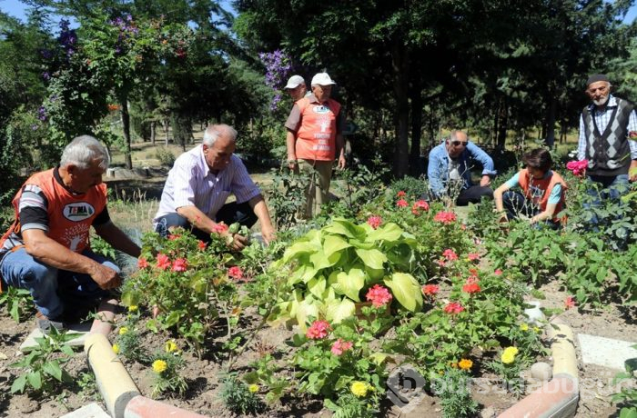 Çöplüğü botanik bahçesine çevirdiler