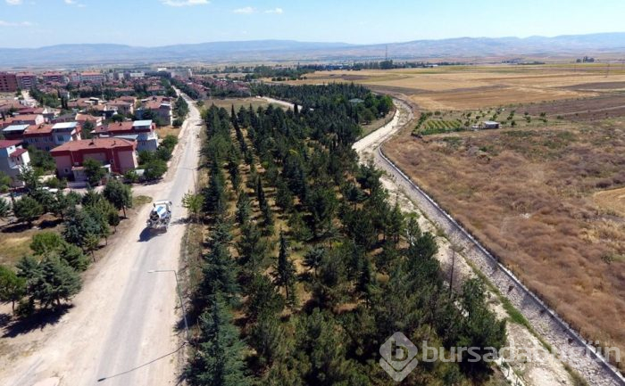 Çöplüğü botanik bahçesine çevirdiler