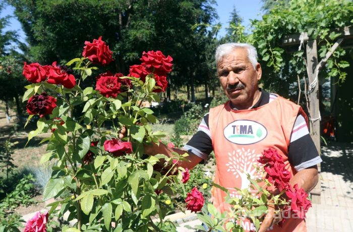 Çöplüğü botanik bahçesine çevirdiler