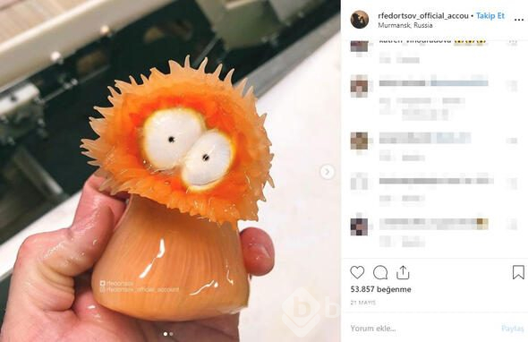 Fenomen isim bunu paylaştı! 'Bir daha denize girmeyeceğim'
